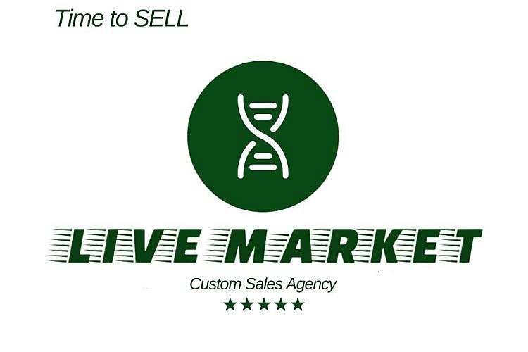 Lansarea live-market.eu